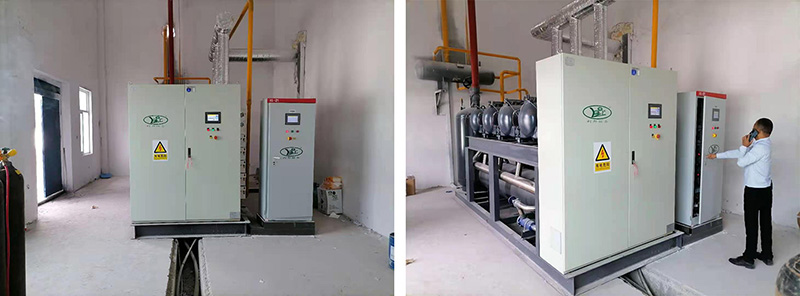 1758339880227206.jpg 西蓝花2.jpg